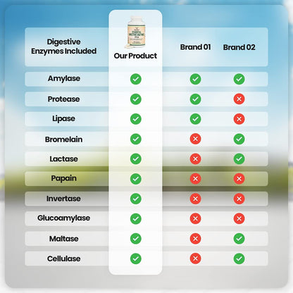 Digestive Enzymes